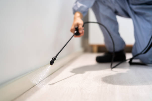 Licensed Cockroach Control service in Fairmont, IL - Nex Pest Control