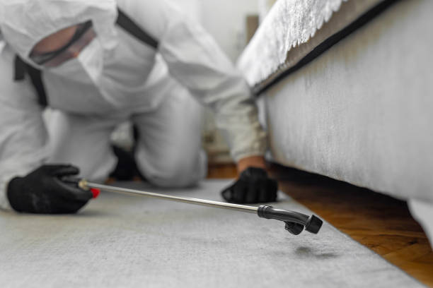Professional Cockroach Control technician working in Fairmont, IL