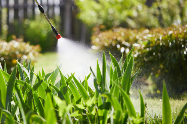 24/7 Emergency Cockroach Control experts in Fairmont, IL
