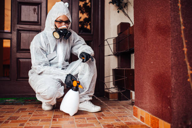 Reliable Cockroach Control contractor in Fairmont, IL by Nex Pest Control