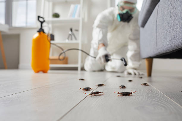 Affordable Cockroach Control solutions in Fairmont, IL