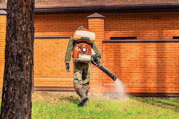 Top rated local Cockroach Control specialists in Fairmont, IL